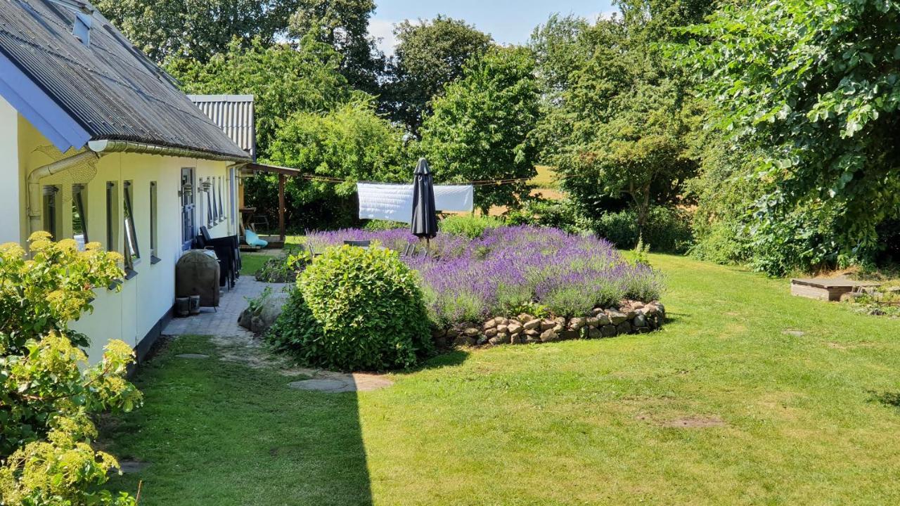 Rolso Retreat Villa Knebel Luaran gambar