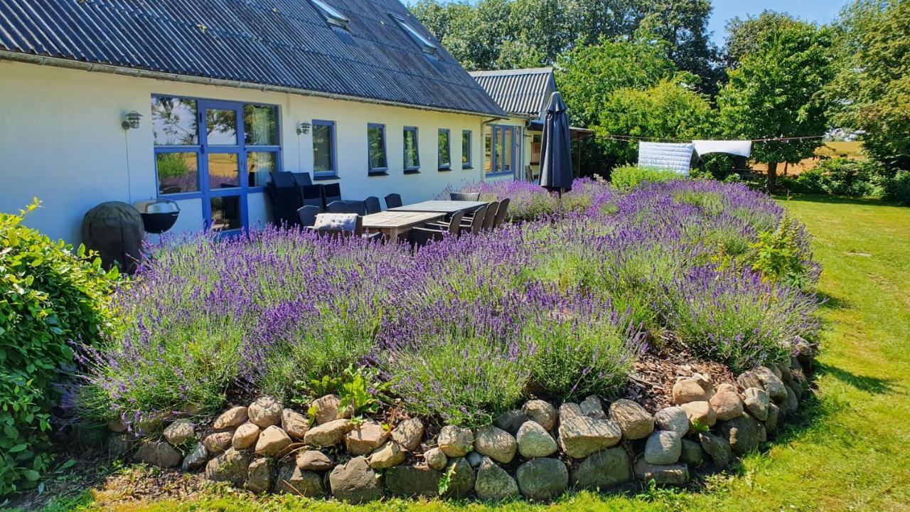 Rolso Retreat Villa Knebel Luaran gambar